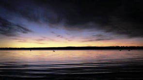 Gravata borboleta (mídia de produto avançada)